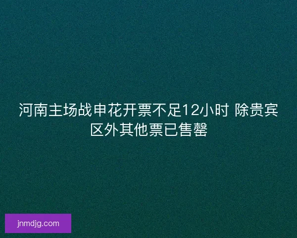 河南主场战申花开票不足12小时 除贵宾区外其他票已售罄 河南主场战申花开票不足12小时 除贵宾区外其他票已售罄